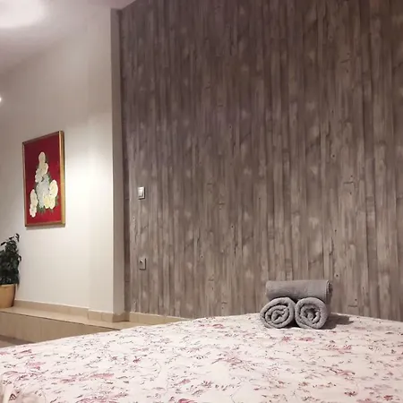 City Center Studio Διαμέρισμα *